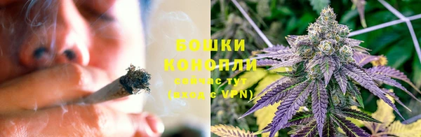 крисы Няндома