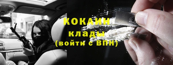 индика Нязепетровск