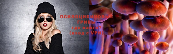 крисы Няндома