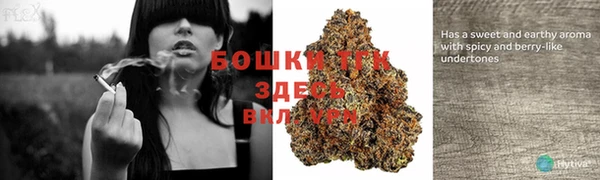 индика Нязепетровск