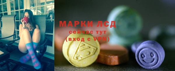 индика Нязепетровск
