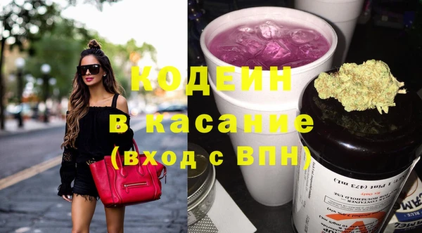 крисы Няндома