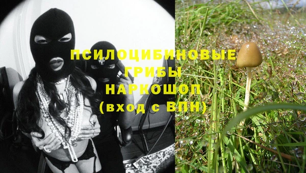 крисы Няндома