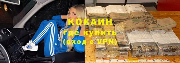 крисы Няндома