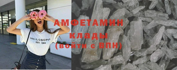 индика Нязепетровск