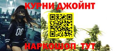 гидра Гатчина
