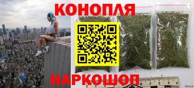гидра Гатчина