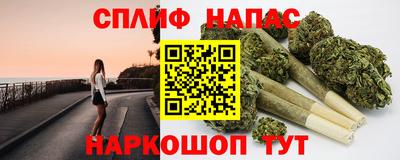 спайс Гай