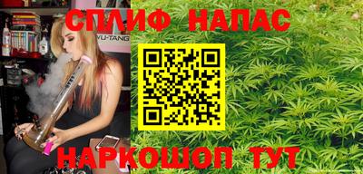 гидра Гатчина