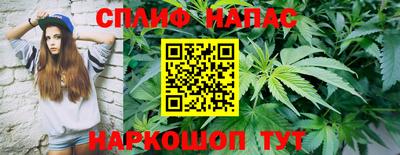 гидра Гатчина