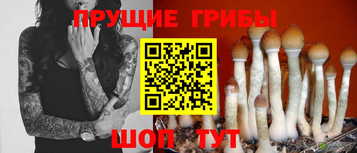Псилоцибиновые грибы Magic Shrooms  где купить наркотик  Туймазы 