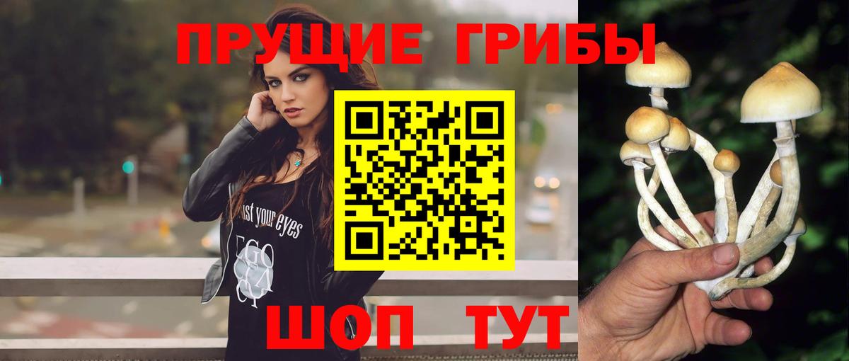 Псилоцибиновые грибы Psilocybine cubensis  Вход с VPN  Туймазы  сколько стоит  Псилоцибиновые грибы мицелий 
