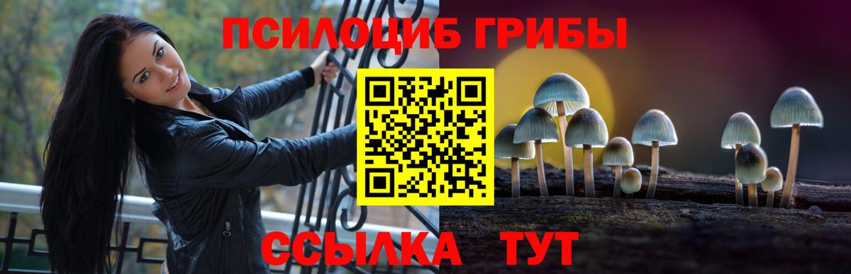 Псилоцибиновые грибы Magic Shrooms Туймазы